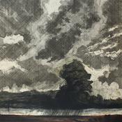 Rain over a Bog after Emil Nolde