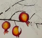 Pomegranates