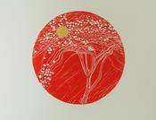 Life Circle