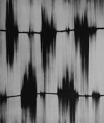 Echo 1