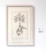 Untitled image