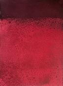 Untitled (pink)