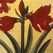 Amaryllis and Gold Leaf image