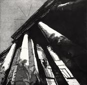 Digital Witness