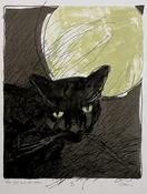 The Cat and the Moon image