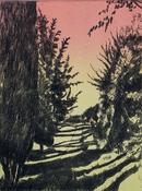 Homeward bound-Midsummer