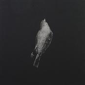 Maeve Coulter-Threnody III