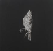 Maeve Coulter-Threnody II