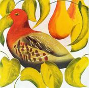 Partridge in a pear tree