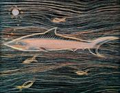 Blue Shark image