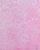 Baby Pink II