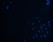 Fragile Blue, Michele Hetherington