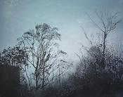 Doorlus (Nocturne) image