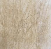 Meadow Grass