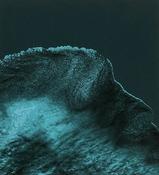Tide I