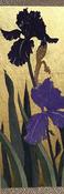 Detail, Iris III