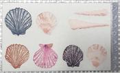 Poolbeg Shells