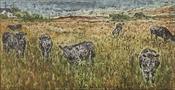 Local Bulls and Cows