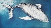 Humpback image