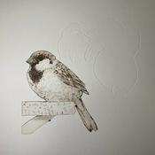 Upon the time of sparrow-chirp