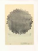 34 Spirals image