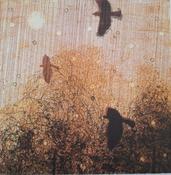Three Crows