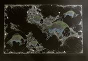 Mirrored Carp image