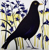 Sharing Bluebells