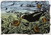 Blackbird and Medlars