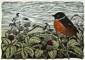 Stonechat