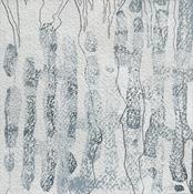 Lacunae II