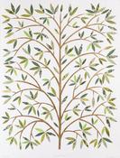 Ed Miliano, Gold Tree