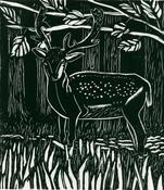 Deer In Phoenix Park
