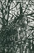 Stag Amongst Undergrowth