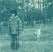 Close Encounter in Phoenix Park