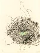 Herbert Park Nest