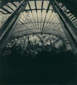 On Reflection (Botanics)
