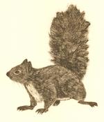 Lookout, Phoenix Park