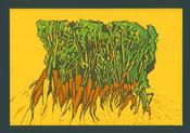Carrots - Sieved and Unsieved