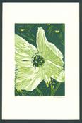 Mud Island Flower