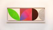 Tri-Line, Series 8