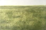 Meadow
