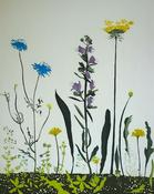Tuscan Hedgerow