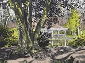 Louise Leonard, We're off to Dublin in the green in the green