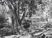 Louise Leonard, We're off to Dublin in the green in the green (BW)