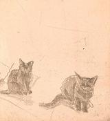 Hazy Cat Skies