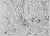 Louise Leonard, Now I lay me down to sleep (stage 1)