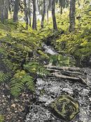 Louise Leonard, Hunting Brook