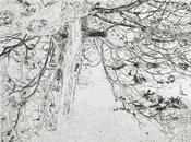 Louise Leonard, Be still my soul(stage 1)