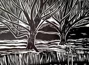 Arboreal Floating Shadows